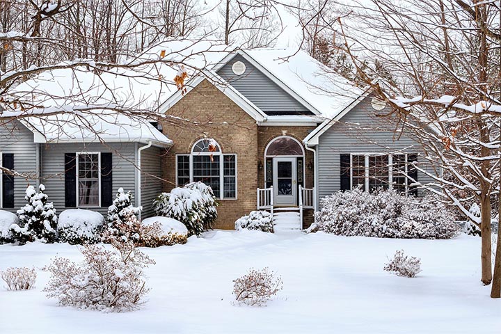 Winter Wonder: Boost Curb Appeal Without Flora